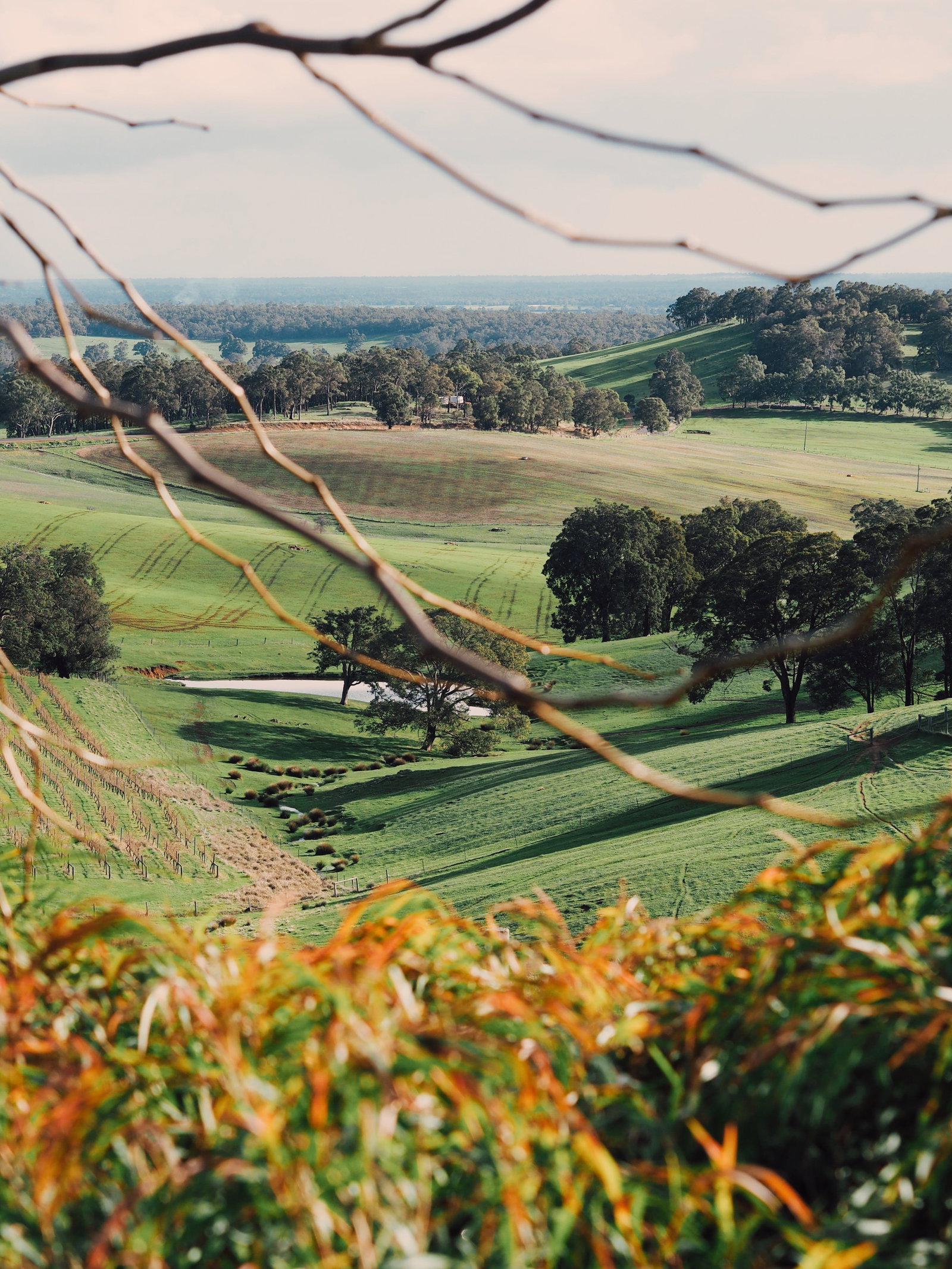 Henty WA Gold Coast Attractions