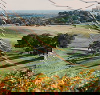 Green Door Winery Cellar Door - Gold Coast Attractions