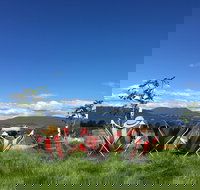 Red Feet Wines - Gold Coast Attractions