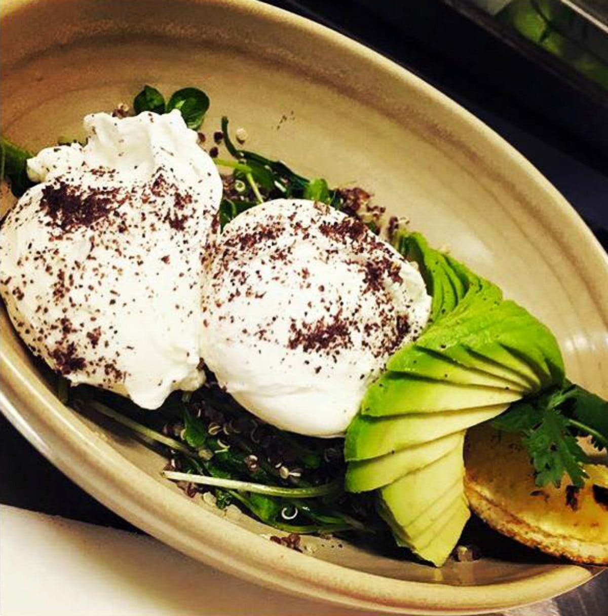 Collaroy NSW Gold Coast Attractions