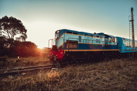 The Q Train - Gold Coast Attractions 1