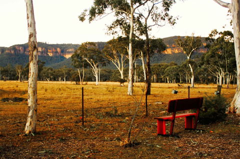 The Megalong Valley Tearooms - Gold Coast Attractions 0