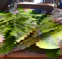 The Cube Hot Pot - Gold Coast Attractions