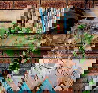 Wilderness Bar - Gold Coast Attractions