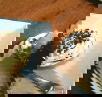 Appleseed cafe - Gold Coast Attractions