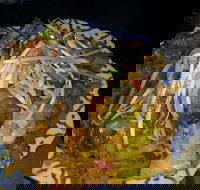 Blue Orchid Thai - Gold Coast Attractions