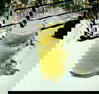 Common Ground - Gold Coast Attractions