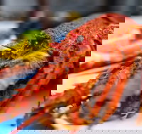 Freycinet Marine Farm - Gold Coast Attractions