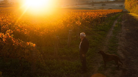 HOOSEGG Cellar Door - Gold Coast Attractions 0