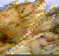 Red Rooster - Malaga - Gold Coast Attractions