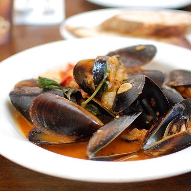 Dawes Point NSW Gold Coast Attractions