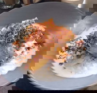 Jimmy Fox - Gold Coast Attractions