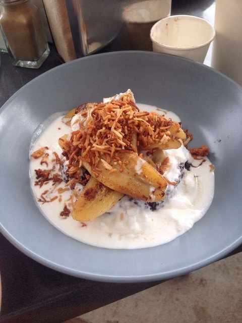 Jimmy Fox - Gold Coast Attractions 0