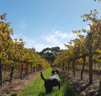 Ruddenklau Wines - Gold Coast Attractions