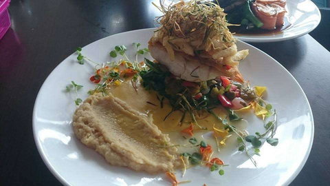 Samarco II - Gold Coast Attractions 0