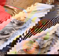 Sirocco Noosa - Gold Coast Attractions