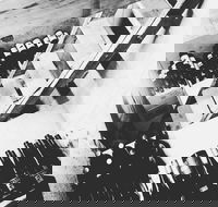 The Cordial Bar - Gold Coast Attractions