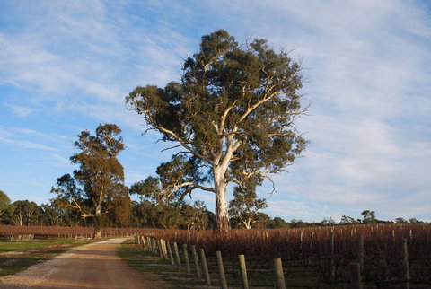 Elysian Springs - Gold Coast Attractions 1