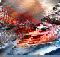 Nana Rosa's Kitchen - Gold Coast Attractions