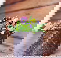 The York Mill - Gold Coast Attractions