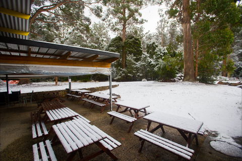 Waterfalls Cafe & Gallery - Gold Coast Attractions 0