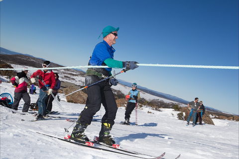 Waterfalls Cafe & Gallery - Gold Coast Attractions 1