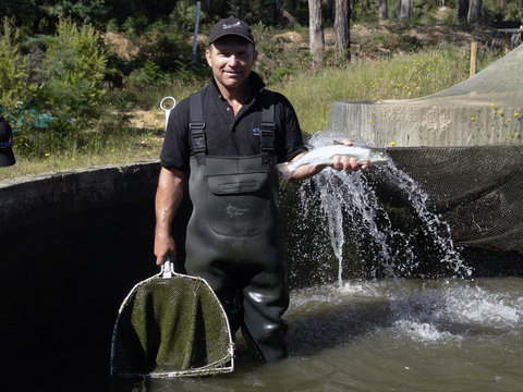 41 Degrees South Tasmania - Gold Coast Attractions 0