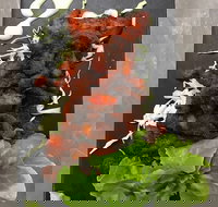 Royal India Restobar - Gold Coast Attractions