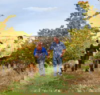 WayWood Wines - Gold Coast Attractions
