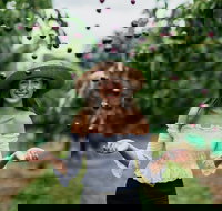 Cherryhill Orchards - Gold Coast Attractions