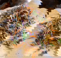 Co Do - Gold Coast Attractions