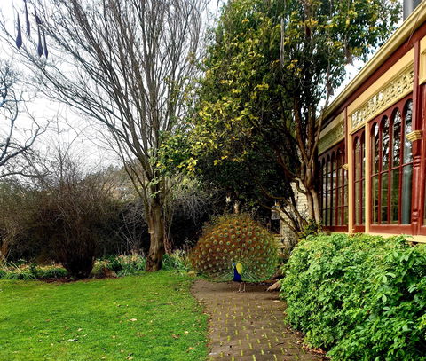 Glen Derwent Tea Rooms - Gold Coast Attractions 0