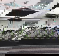 Basia Mille - Gold Coast Attractions