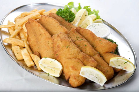 Kiss My Fish - Rochedale - Gold Coast Attractions 0