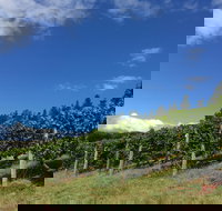 Freycinet Vineyard - Gold Coast Attractions