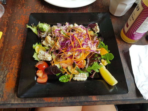 Frogs - Gold Coast Attractions 0