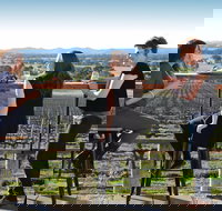 Moothi Estate Vineyard and Cellar Door - Gold Coast Attractions