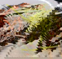 Rising Sun Hotel - Gold Coast Attractions