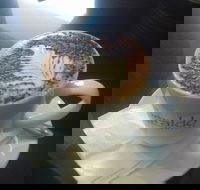 Cafe Marina and Pizzaria - Gold Coast Attractions