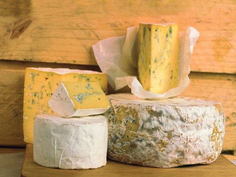 Cheese Shop At Makers' Workshop Burnie - The - Gold Coast Attractions 1