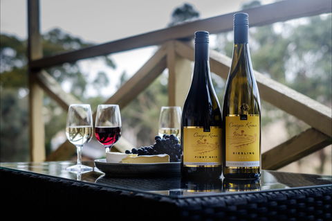 Craigie Knowe Vineyard & Cellar Door - Gold Coast Attractions 1