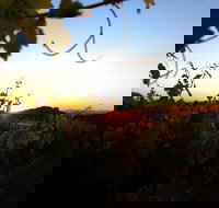 Glenbosch Wine Estate - Gold Coast Attractions