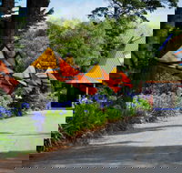 Oakdene Vineyards and Cellar Door - Gold Coast Attractions
