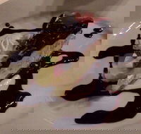 Second Act - Gold Coast Attractions