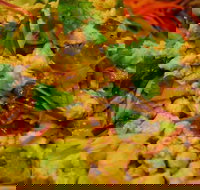 Caroline Thai Restaurant - Gold Coast Attractions