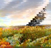 Hahndorf Hill Winery - Gold Coast Attractions