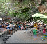 Apollonian Hotel - Gold Coast Attractions