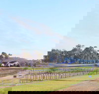 Blacklea Vineyard and Olive Grove - Gold Coast Attractions