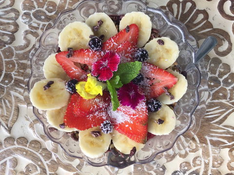 Coconut Coffee House Terranora - Gold Coast Attractions 1