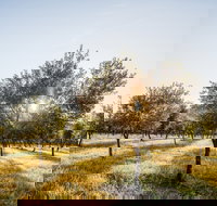 Guneemooroo Estate - Gold Coast Attractions